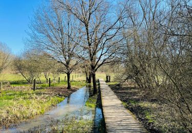 Tocht Stappen Huldenberg - WK_route_kp214_Zuid-Dijleland_1570116223 - Photo