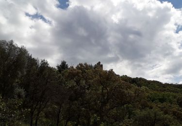 Trail Walking Grimaud - le pont des fées et le moulin de st Roch - Photo