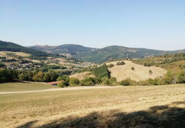 Tocht Stappen Doizieux - 42  croix Montvieux collet de Doizieux 19km 650m - Photo