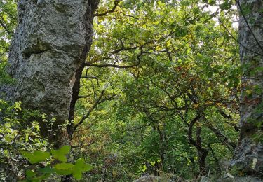 Excursión Marcha nórdica Mazaugues - les arches - Photo