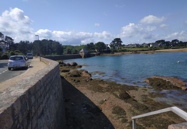 Trail Walking Perros-Guirec - 025-06-14 ploumanac'h 2 - Photo