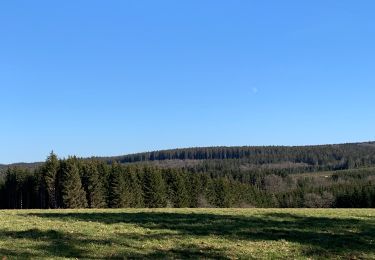 Tocht Stappen La Roche-en-Ardenne - Un petit tour dans les fagnes de la goutte en partant de Samree - Photo