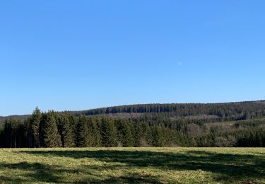 Excursión Senderismo La Roche-en-Ardenne - Un petit tour dans les fagnes de la goutte en partant de Samree  - Photo