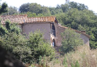 Tocht Te voet Folgueroles - Camins de Verdaguer - Photo