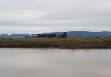 Tour Wandern Villeneuve-lès-Maguelone - Villeneuve lès Malogne - Photo