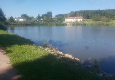 Trail Walking Dounoux - mp dounoux 2019 jp - Photo