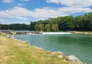 Trail Mountain bike Château-Thierry - Château / Mont St Père / Azy / Château - Photo
