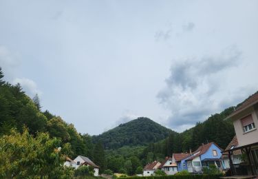 Tocht Stappen Niederbronn-les-Bains - Niederbron 270623 - Photo