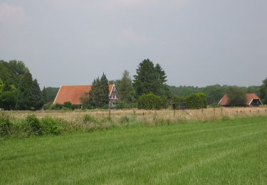 Randonnée A pied Hof van Twente - Wandelnetwerk Twente - gele route - Photo