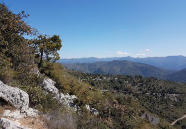 Tour Wandern Nizza - mont chauve - Photo