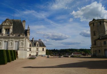 Trail Walking Saint-Aignan - Saint-Aignan-sur-Cher - Zoo - 2015 12 27 - Photo