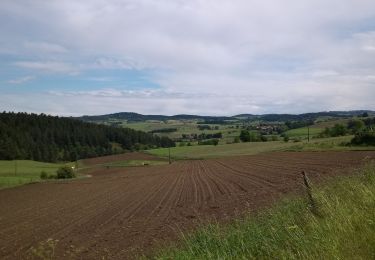 Excursión Senderismo Marlhes - petit tour depuis l'airellier du pilat - Photo