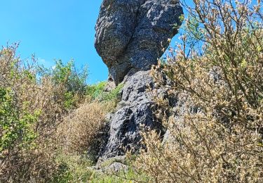 Tour Wandern Saint-Maurice-Navacelles - Nacelles  La Vacquerie  - Photo