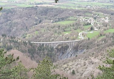 Tour Wandern Nantes-en-Rattier - tour de la forêt de la Roisonne - Photo