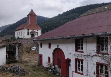 Trail Walking Le Valtin - 2019-03-08 Marche Valtin Chaumes - Photo