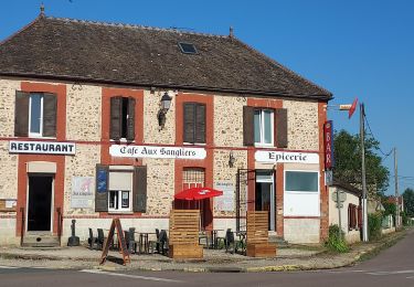 Trail Road bike Paron - 178 065 Villeneuve la Dondagre-01 - Photo