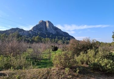 Trail Walking Eygalières - Petit Calan le 15 janvier 2025 - Photo
