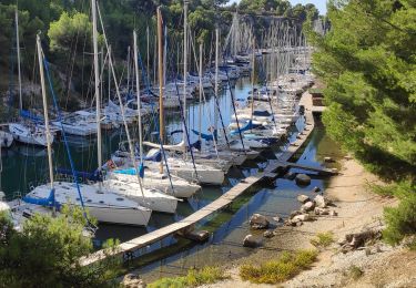 Trail Walking Cassis - Cassis / Luminy - Photo