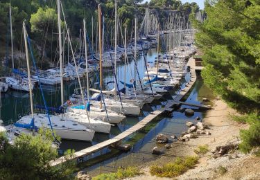 Tocht Stappen Cassis - Cassis / Luminy - Photo