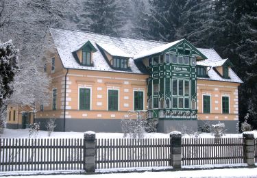 Tour Zu Fuß Gemeinde Kirchberg am Wechsel - Hochwechsel Wanderweg (Kirchberg a.W. - Steyersberger Schwaig - Photo