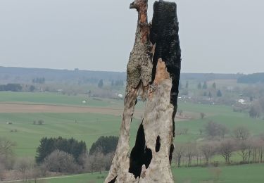 Tour Wandern Geilich - Balade jeudi Rettigny - Photo