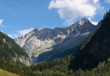 Randonnée A pied Mallnitz - Naturlehrweg Seebachtal - Stappitzer See - Photo