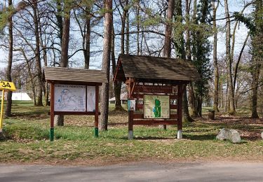 Randonnée Marche Mandeure - Mandeure, Les Grands Communaux 9.6 Km - Photo