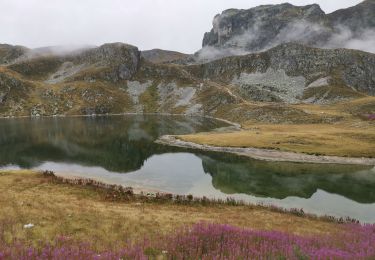 Trail Walking La Plagne-Tarentaise - 73 2022 08 17 La Plagne-Banchettes - Photo