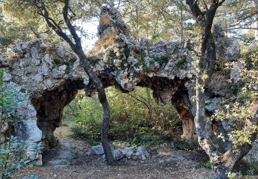 Trail Walking Malataverne - Chateauneuf Le Rac - Chemin de Belle-Eau 7km - Photo