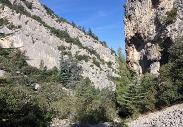 Excursión Ruta Cheval-Blanc - Valloncourt-Regalon-Pradon-Oppède-Combrès_VAiguille - Photo