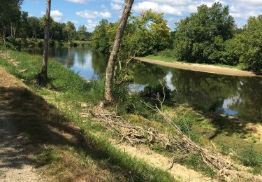 Tour Wandern Rivière-Saas-et-Gourby - Les Barthes a Rivière-Saas-et-Gourby  - Photo