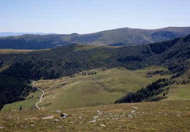 Randonnée A pied Bad Schwanberg - Grünangerhütte - Rundweg - Photo