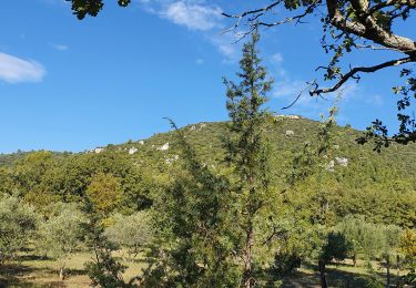 Tour Wandern Méounes-lès-Montrieux - Meounes le Garagai de Signoret - Photo