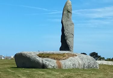 Randonnée Marche Plounéour-Brignogan-Plages - Brignogan gare - Photo