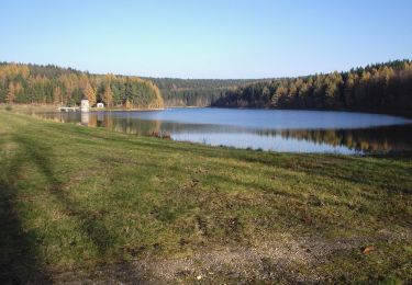 Tocht Te voet Stollberg/Erzgebirge - Naturlehrpfad - Photo