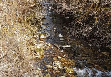 Trail Walking Échallon - Echallon: moyenne Semine - Photo