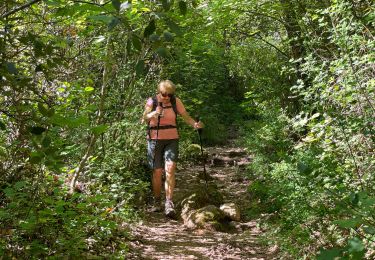 Excursión Senderismo Montauroux - Pont des Tuves MM - Photo