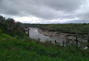 Trail Walking Mornac-sur-Seudre - Mornac - Photo