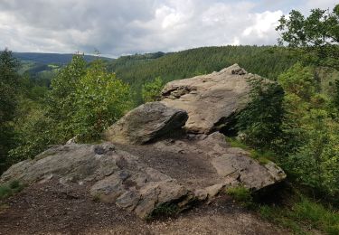 Excursión Senderismo Malmedy - Baugnez  - Photo