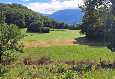 Tour Wandern Ouzous - Pyrénées 2023 Jour 3 - Pic du Pibeste - Photo