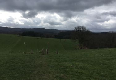 Randonnée Marche Stoumont - Stoumont fagne de malchamps - Photo