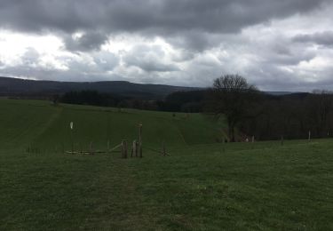 Tocht Stappen Stoumont - Stoumont fagne de malchamps - Photo