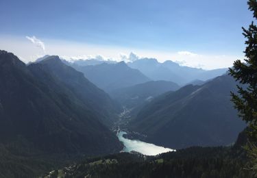 Randonnée A pied Selva di Cadore - IT-568 - Photo