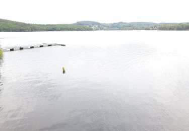 Trail Walking Beaumont-du-Lac - lac de Vassiviere  - Photo