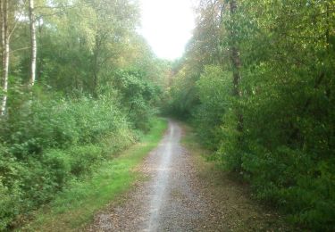 Tocht Te voet Onbekend - Unterbacher See Rundweg A2 - Photo