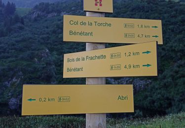 Tocht Trail Cevins - lac des Cornaches  - Photo