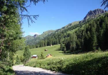 Excursión A pie San Giovanni di Fassa - IT-E641 - Photo