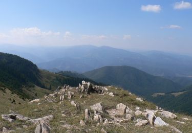 Trail On foot Unknown - Gara Turnu Roșu - Șaua Corbului - Photo