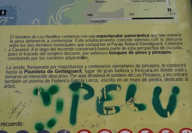 Tour Wandern Estepona - Sierra Bermeja - Photo