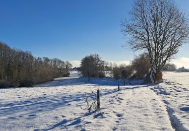Percorso Marcia Havelange - Méan-Maffe sous la neige... - Photo
